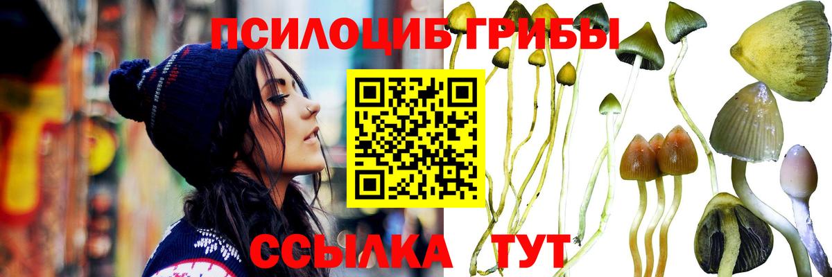Заводоуковск  Галлюциногенные грибы Psilocybine cubensis  Вход с VPN  Галлюциногенные грибы GOLDEN TEACHER 