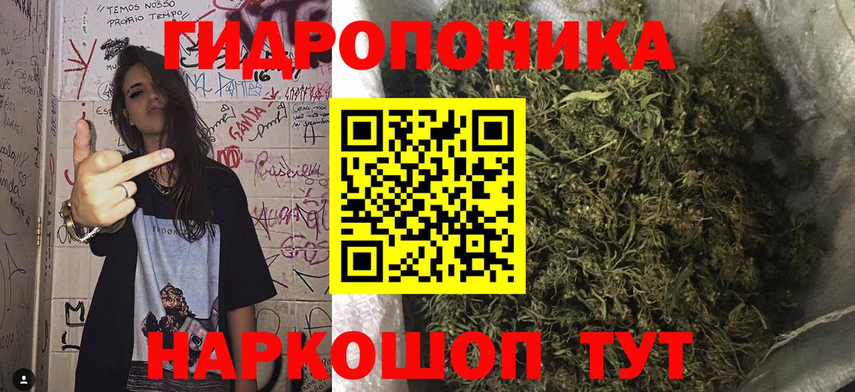 Бошки марихуана марихуана Заводоуковск